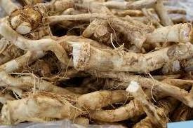 Dehydrated  Dried Horseradish Root & Powder For Sale