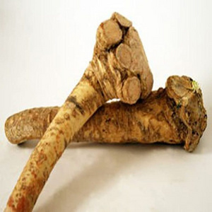 Dehydrated  Dried Horseradish Root & Powder For Sale