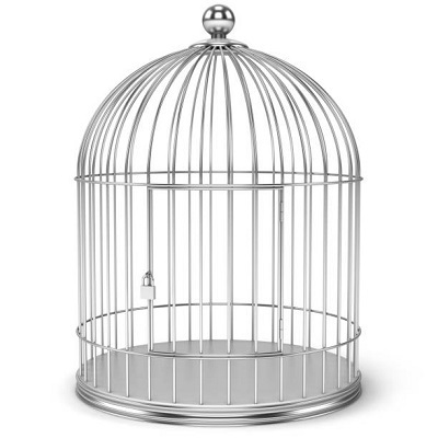 Bird Cages Wholesale Large Bird Cage Parakeets Cages Bird Breeding customized sizes and design