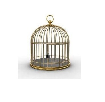 Factory Large Comfortable Foldable Peony Lovebird Cage Multi-Color Parrot Bird Cage With Breeding Door Pet Living House Cage