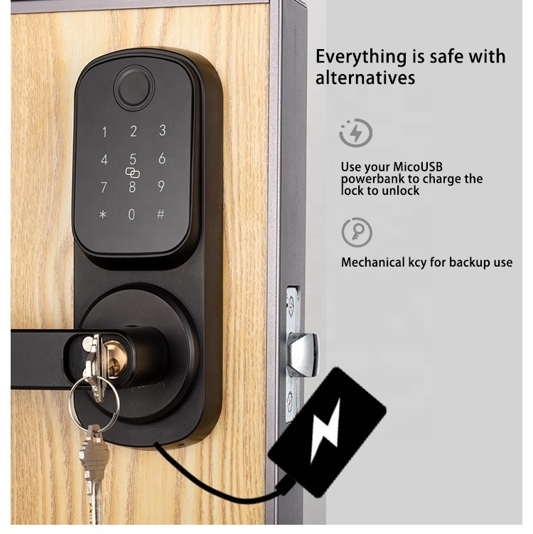 Fingerprint Keyless Entry Door Lock Biometric Electronic Keypad Deadbolt Door Lock Digital Door Lock