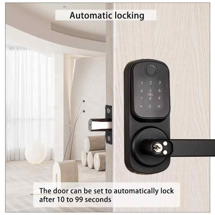 Fingerprint Keyless Entry Door Lock Biometric Electronic Keypad Deadbolt Door Lock Digital Door Lock