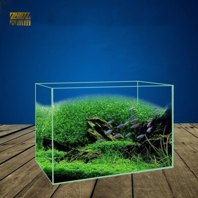 Clear Large Round Glass Fish Tank Fish Bowl Aquarium