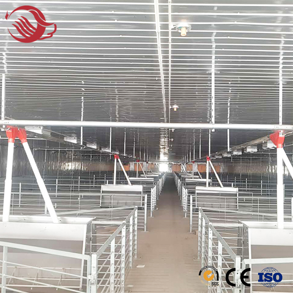 Pig Feeder Auto Feeder Farming Equipment Feed Production Line Automatic Pig Feeding