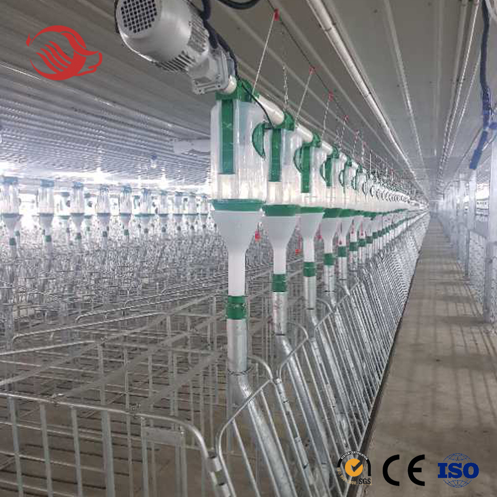 Pig Feeder Auto Feeder Farming Equipment Feed Production Line Automatic Pig Feeding