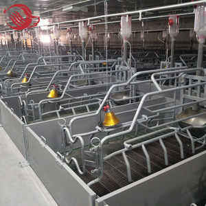 Factory supply  pig floor frame set pig farming equipment for sale