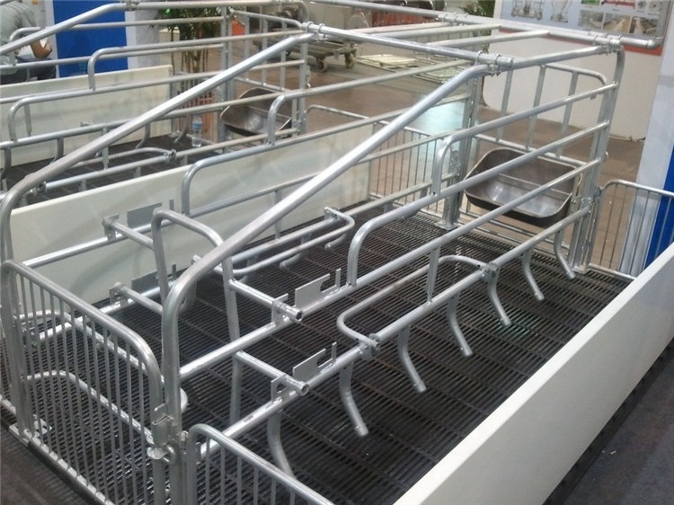 Pig  Farrowing Crate  And   Hot Dip Galvanized Pig Farrowing Pens With New Design