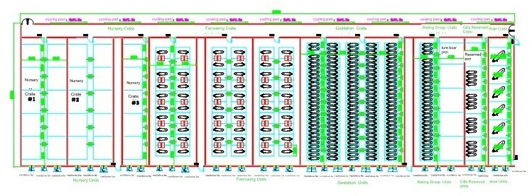 Modern Building Pig/Swine/Hog Farming Auto Equipment Turn-key Project Supplier / Pig Stall