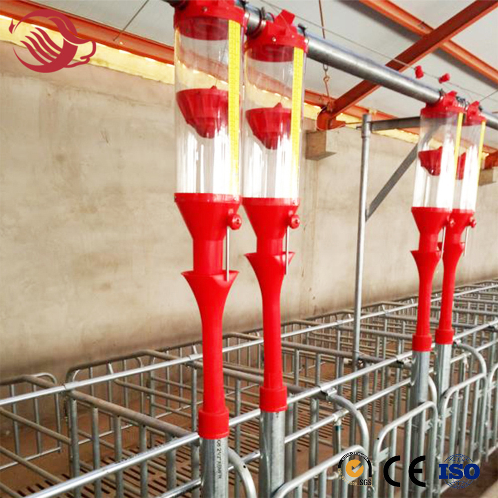 Pig Feeder Auto Feeder Farming Equipment Feed Production Line Automatic Pig Feeding