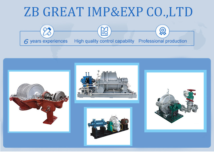 Energy generator paddle waterwheel portable steam turbines francis turbine 200 kw plus installation  for electricity plant