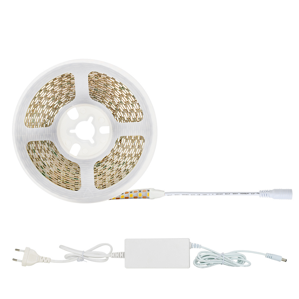 ZBL Hot Sale Factory Direct LED  Light Wifi LED Strip Lights Smart 160leds/m SMD LED 2835 Strip Lights