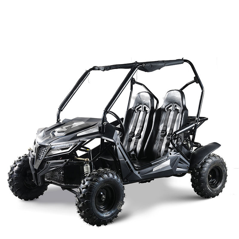 2022 new high quality 175cc 275cc automatic 4 stroke dune buggy for adults, gas powered go kart utv for sale