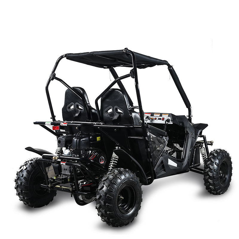 2022 new high quality 175cc 275cc automatic 4 stroke dune buggy for adults, gas powered go kart utv for sale