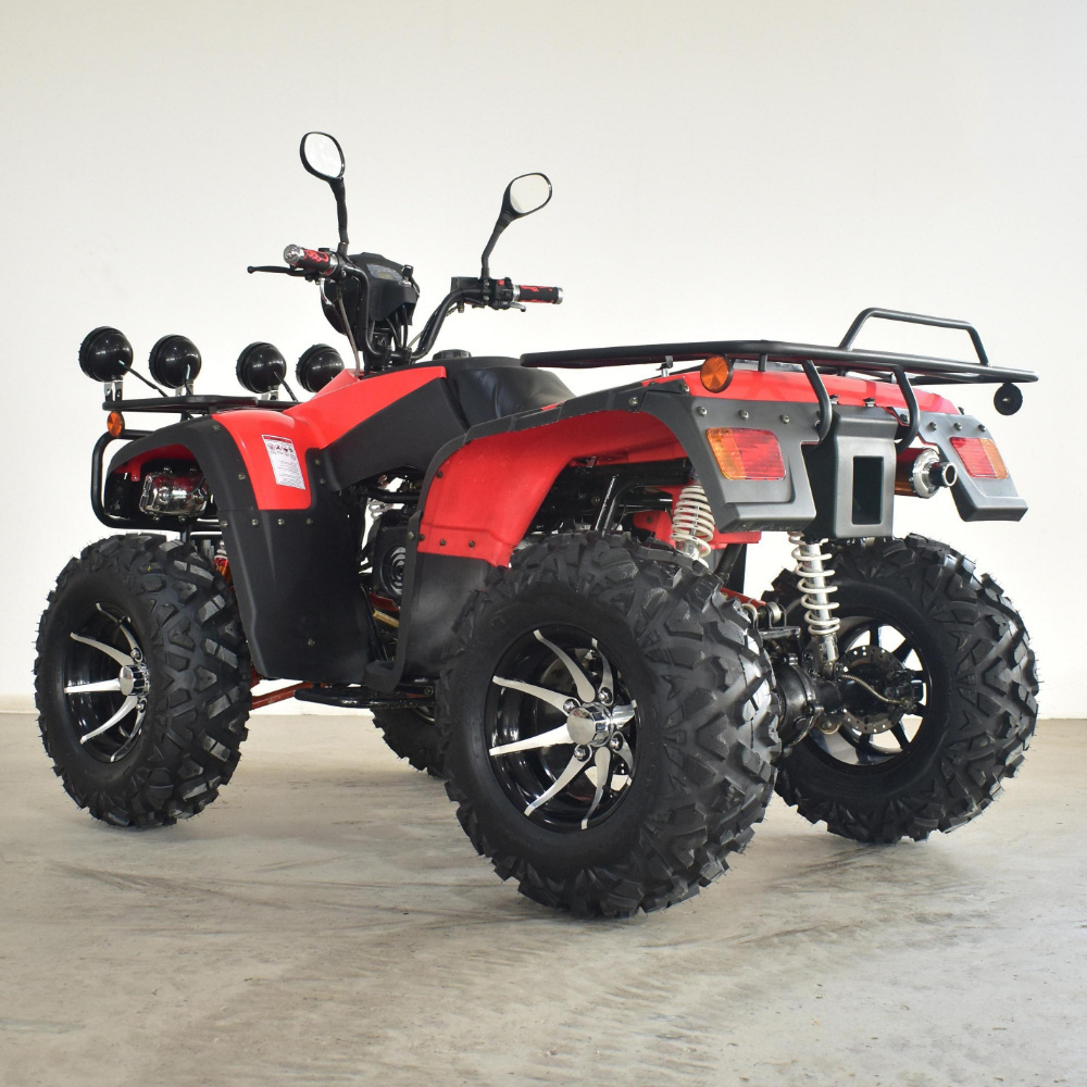 2023 ATV 250cc atv engine Adult Gas Powerful mini jeeps