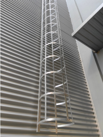 Industrial Outdoor Vertical Cage Ladders Aluminum Material Safety Cat Cage Step Ladder For Fire Escape Access