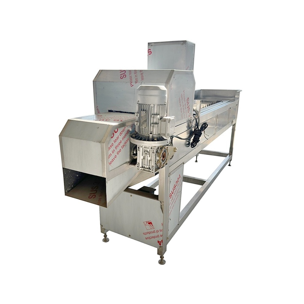 Commercial sweet corn cob fully automatic head and tail cutting machine