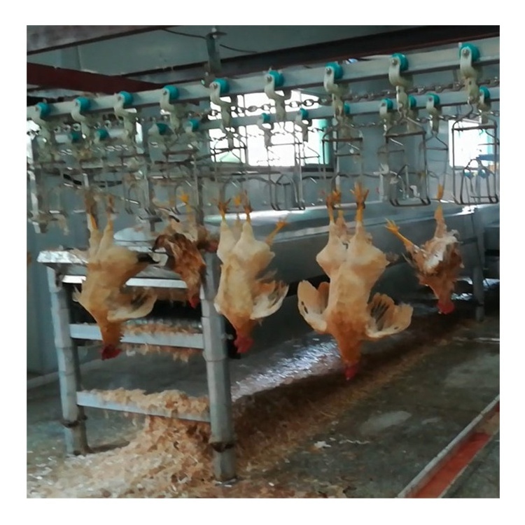 500 bph chicken slaughter line slaughtering chicken killing machine