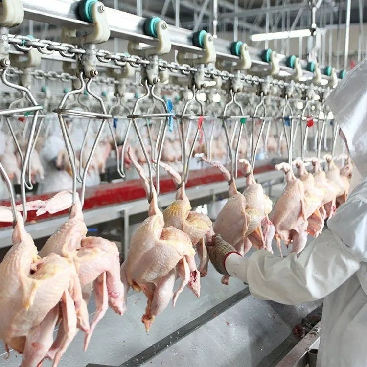 500 bph chicken slaughter line slaughtering chicken killing machine