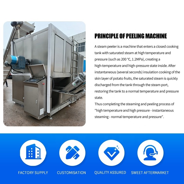 Vegetables and fruits Automatic Industrial Potato ginger lotus root papaya sweet potato washing and peeling machine