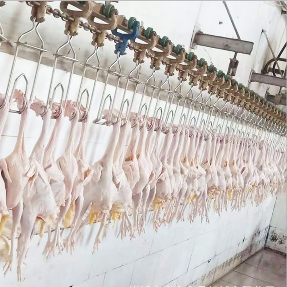 overhead hanging conveyor  chicken slaughtering line