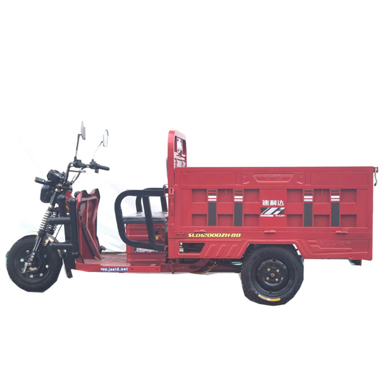 New Open 3 Wheel Electric Motocicleta Electrica 800w Adult Three Wheels Motorcycle Tricycles