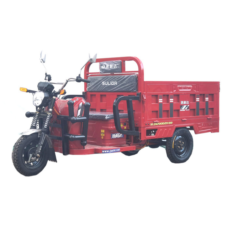 New Open 3 Wheel Electric Motocicleta Electrica 800w Adult Three Wheels Motorcycle Tricycles