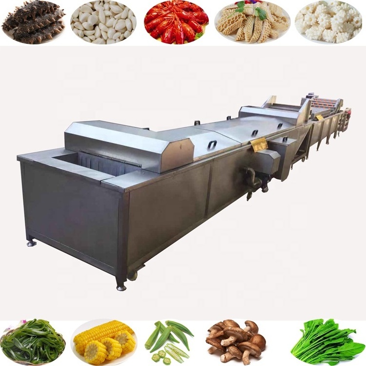 304 stainless steel electric steam fruit vegetable blanching machine mushroom sea cucumber peach green beans blanching machine