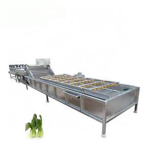 Food grade 304 stainless steel industrial sweet potato washing machine