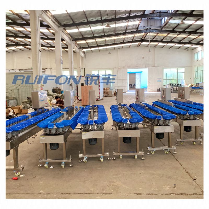 Industrial machinery crawfish sorting machine/sea cucumber oyster sorting machine/fish and shrimp sorting machine