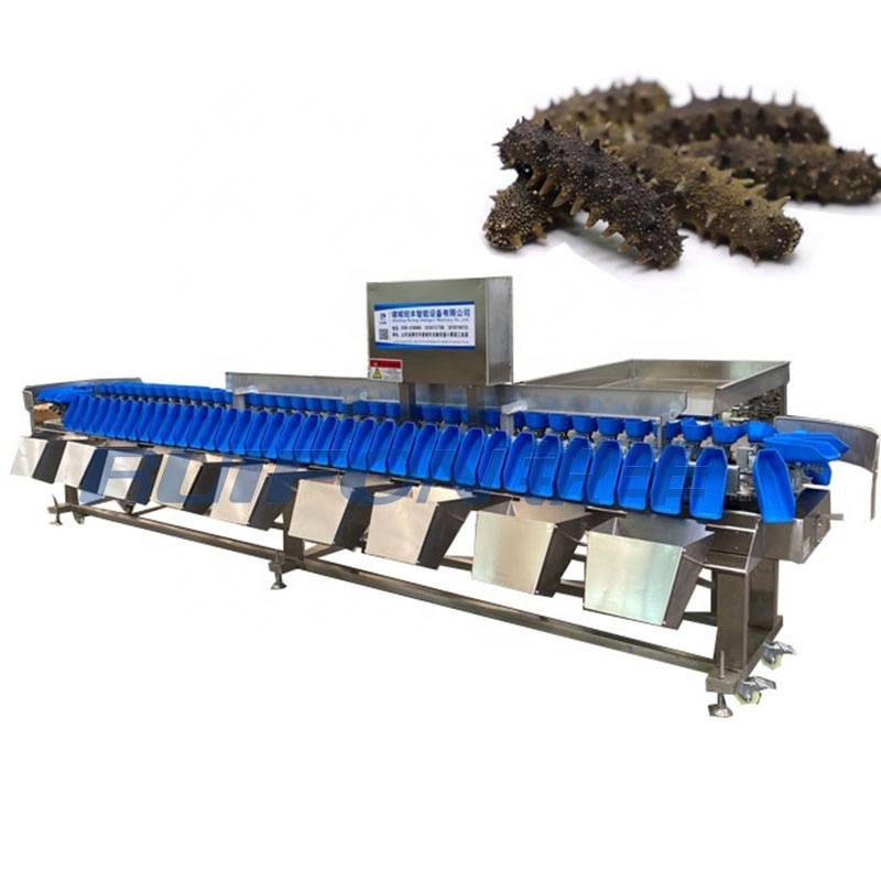 Automatic chicken leg fish sea cucumber weight sorting machine aquatic processing equipment