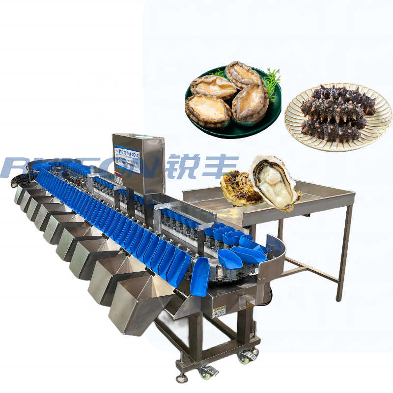 Industrial machinery sea cucumber weighing and sorting machine cleaning and sorting line prawn heavy sorting machine