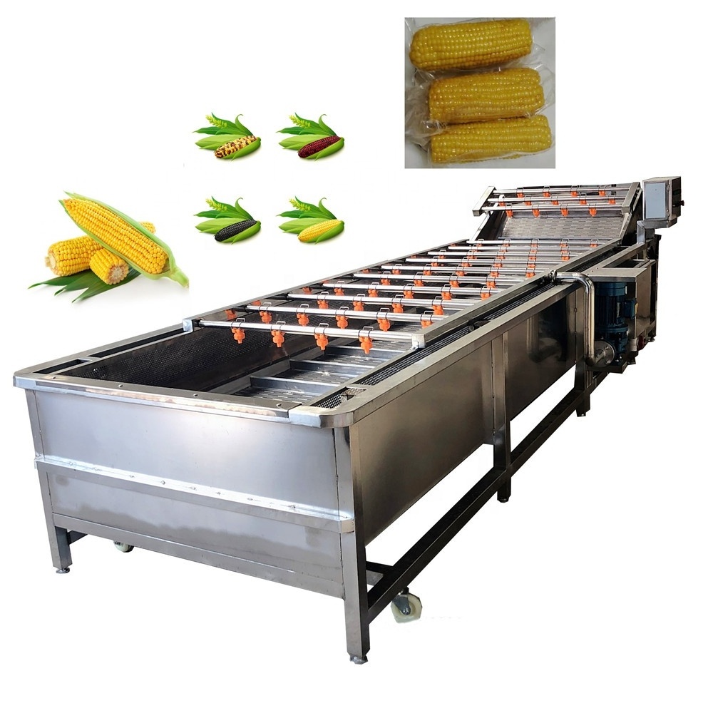 Hot industrial fruit and vegetable washing machine Corn continuous working cleaning machine vegetable bubble cleaning machine