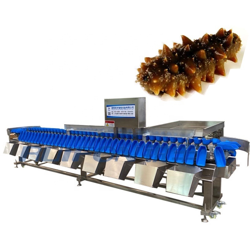 Industrial machinery crawfish sorting machine/sea cucumber oyster sorting machine/fish and shrimp sorting machine