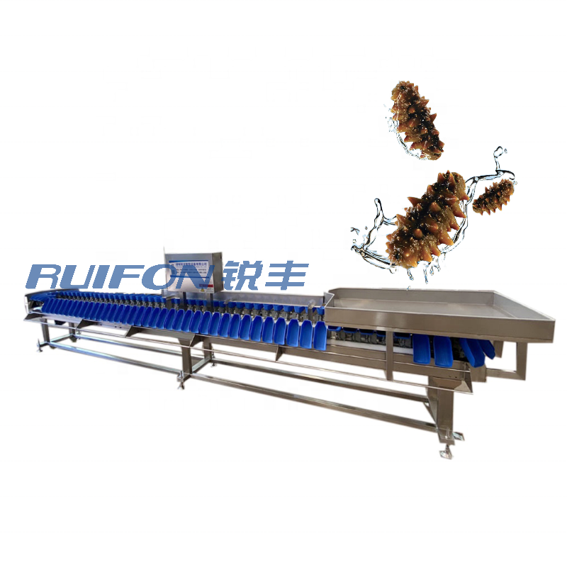 Industrial machinery sea cucumber weighing and sorting machine cleaning and sorting line prawn heavy sorting machine