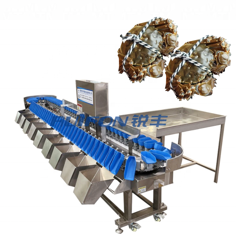 Food processing high precision automatic industrial sea cucumber weight sorting machine