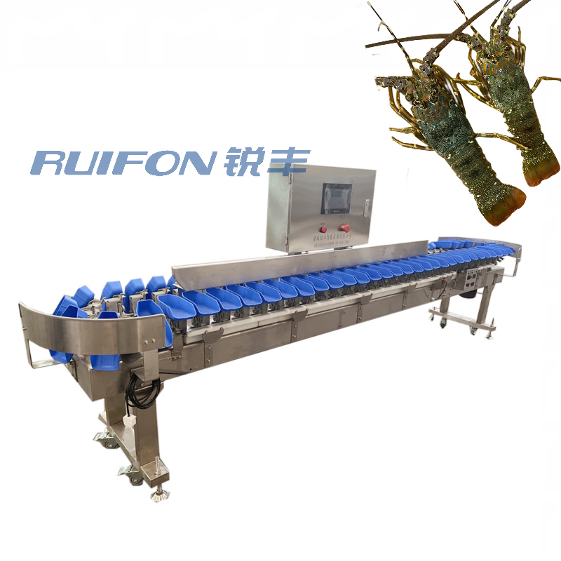 Food processing high precision automatic industrial sea cucumber weight sorting machine