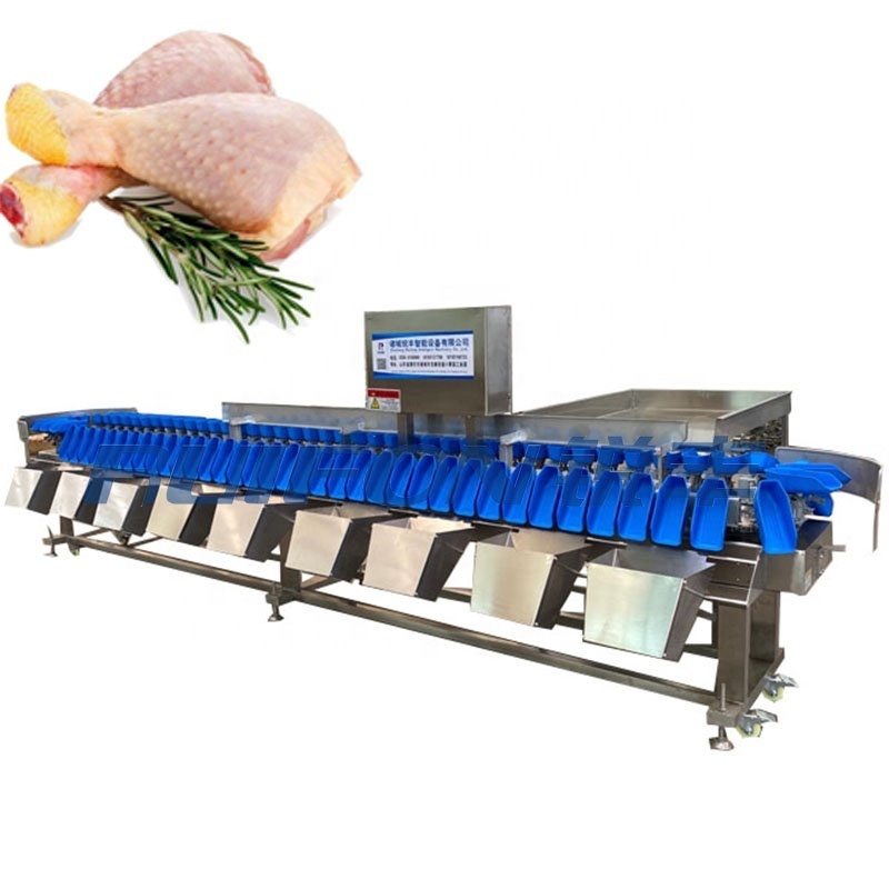 Automatic chicken leg fish sea cucumber weight sorting machine aquatic processing equipment