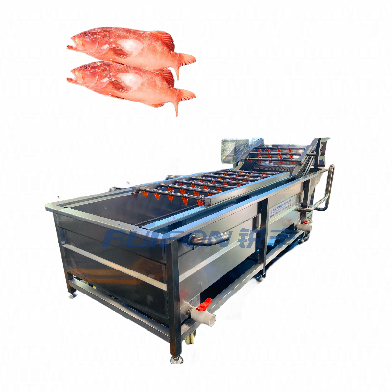 Industrial machinery sea cucumber weighing and sorting machine cleaning and sorting line prawn heavy sorting machine