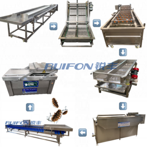 Industrial machinery sea cucumber weighing and sorting machine cleaning and sorting line prawn heavy sorting machine