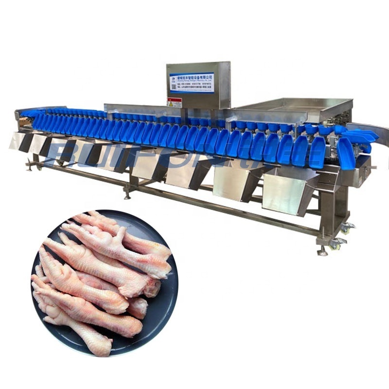 Automatic chicken leg fish sea cucumber weight sorting machine aquatic processing equipment