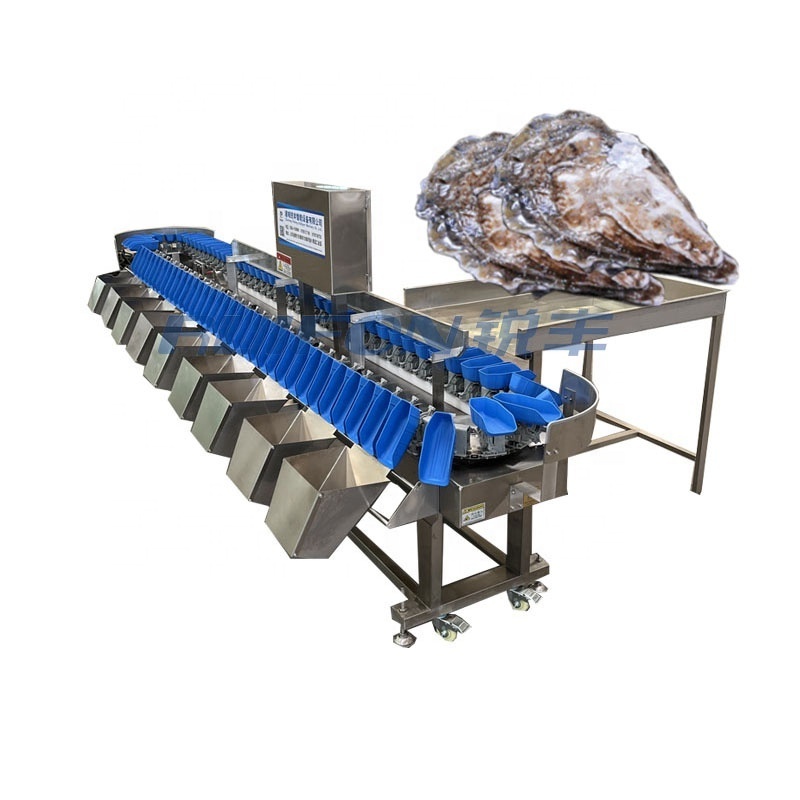 Industrial machinery crawfish sorting machine/sea cucumber oyster sorting machine/fish and shrimp sorting machine