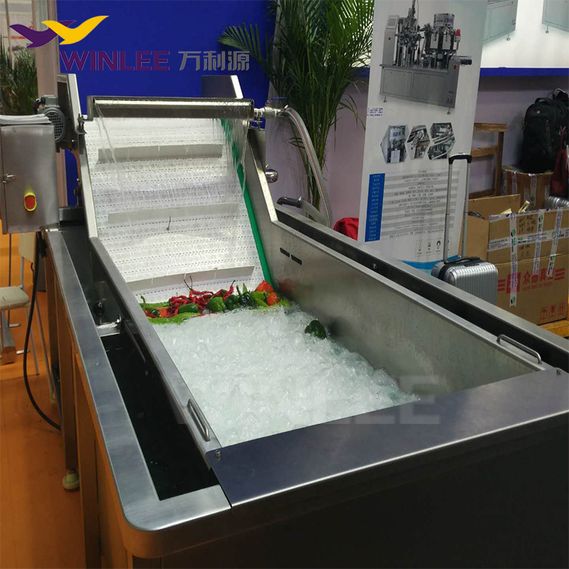 Automatic fish cleaning machine customized bubble washing machine for seafood