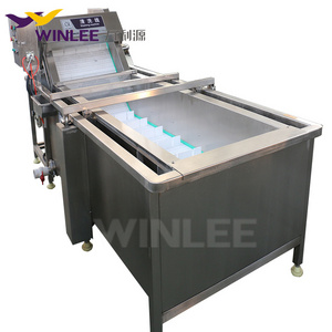 Automatic fish cleaning machine customized bubble washing machine for seafood