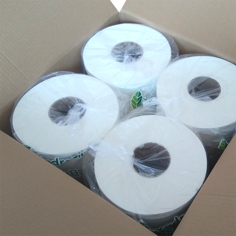 Premium Water Soluable Toilet Paper Mini Jumbo Roll 450g