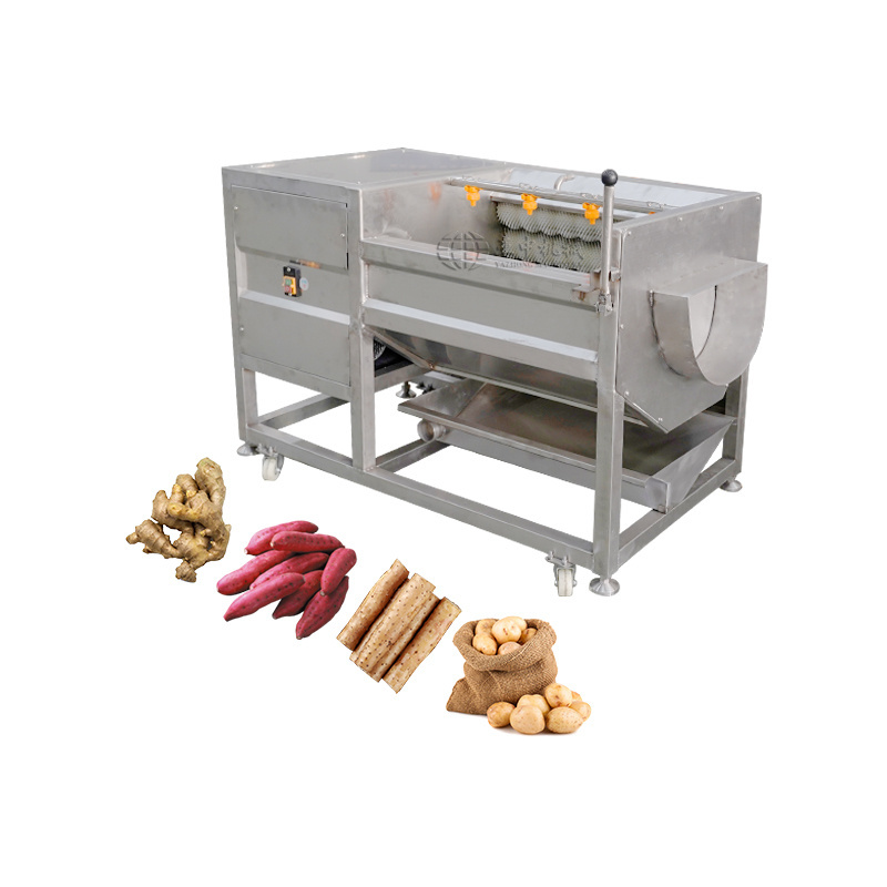 Factory Potato Washing Peeling Machine Potato Washer Peeler Cleaning Machine Stainless Steel Peeler And Washer Machine