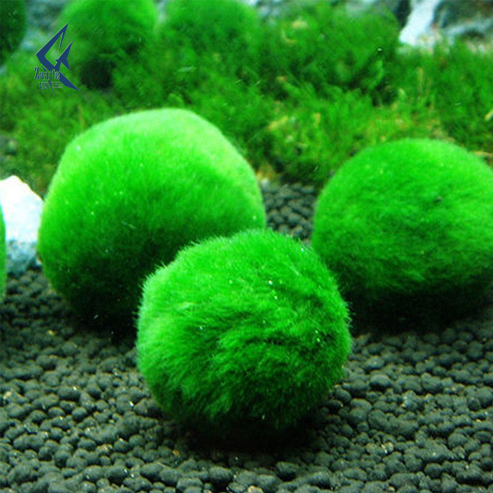 Marimo moss balls simulation aquarium plants algae fish shrimp tank decorations green aquarium ornamental foreground grass