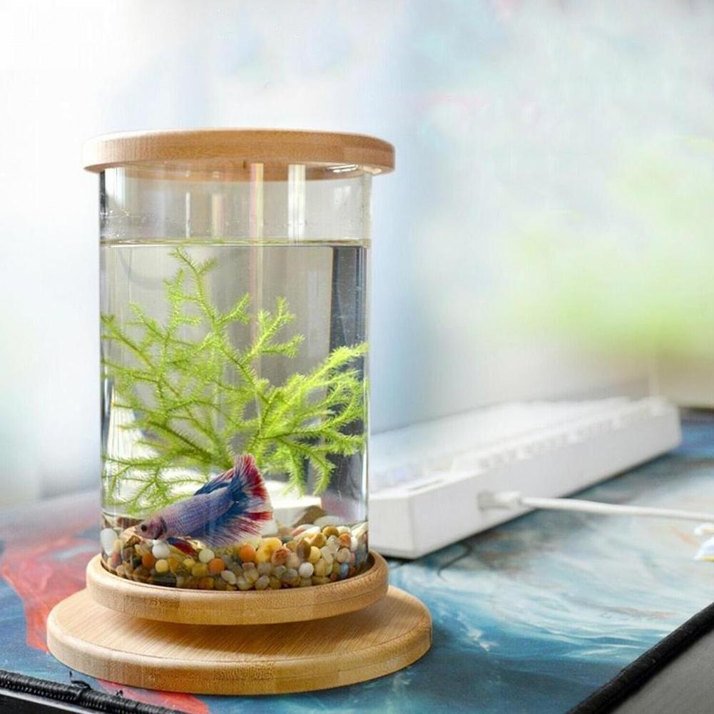 Aquarium A 360 Degree Rotating Glass Betta Fish Tank Bamboo Base Mini Fish Tank Decoration Rotate Fish Bowl Aquarium Accessories