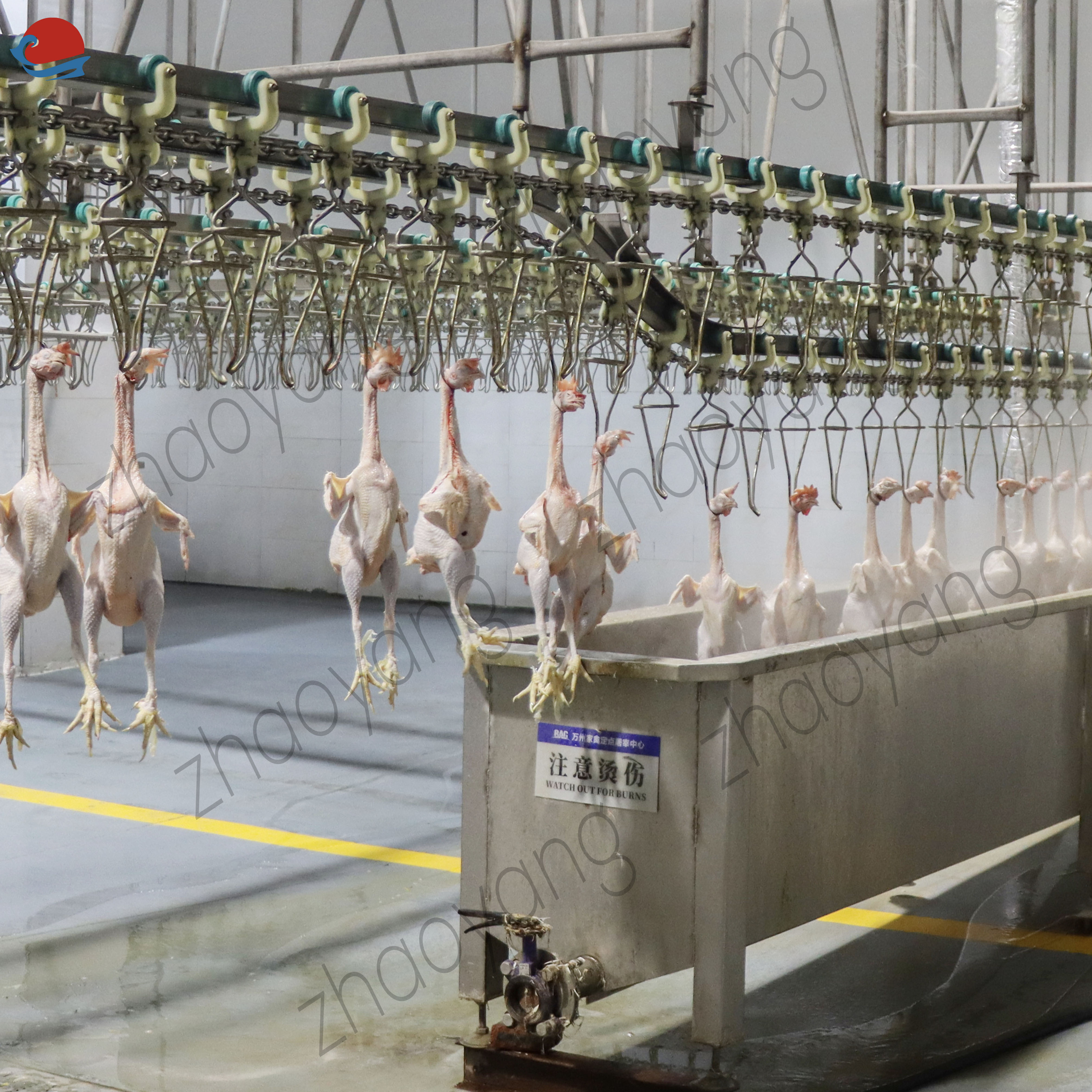 automatic 500 mini chicken modular slaughter unit slaughtering machine line overhead conveyor