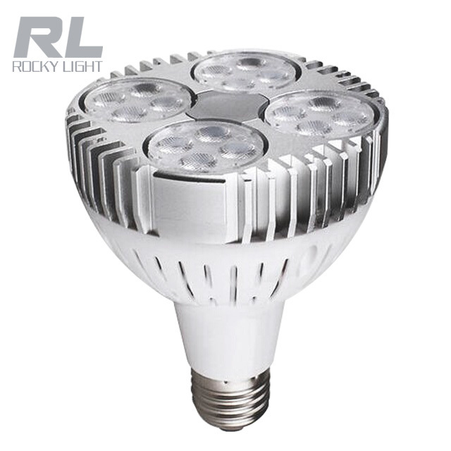 Aluminum plastic 35W Led par38 par30 bulb