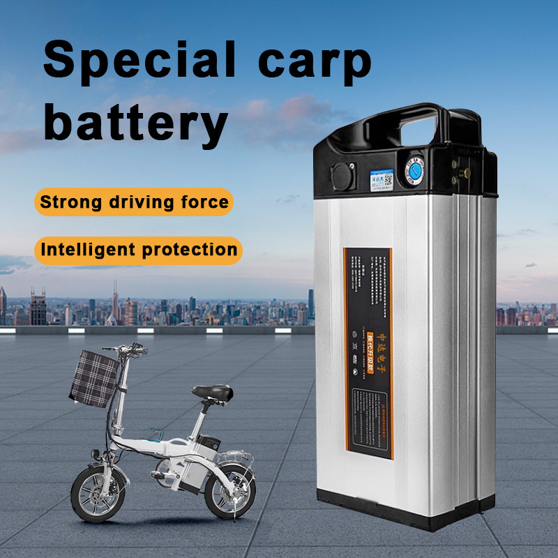 Customized Lithium Ion Electric Bicycle Battery Pack Sliver Fish Batteries 48V 36V 10Ah 20Ah Ebike Battery For Electric Bikes